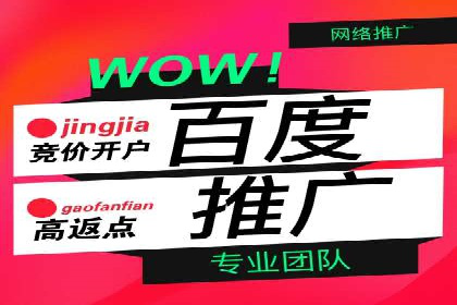 揭秘：成功SEM推广代运营公司案例解析